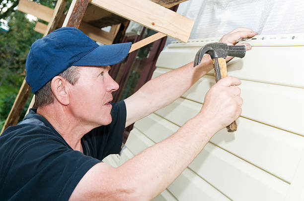 Best Custom Trim and Detailing for Siding  in USA